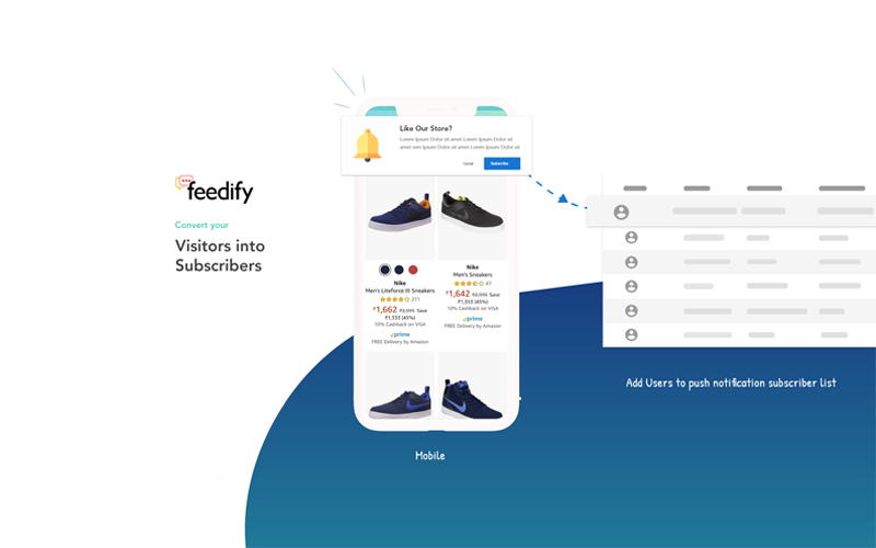 Push Notification Subscriber list in Feedify lifetime deal