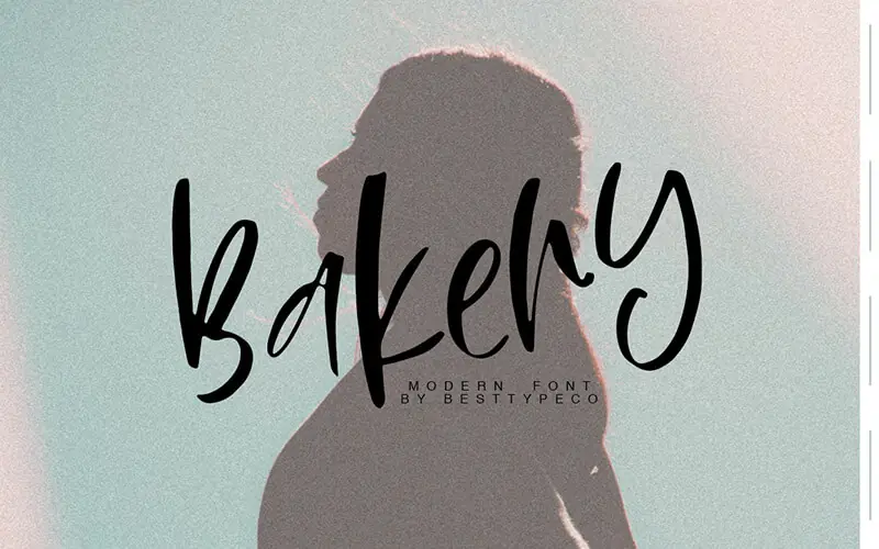 Bakery-Font 51 Elegant & Creative Fonts From The Amazing Fonts Bundle - Bakery
