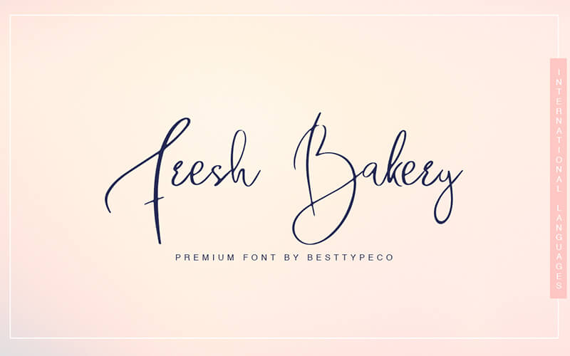 51 Elegant & Creative Fonts From The Amazing Fonts Bundle - Fresh-Bakery