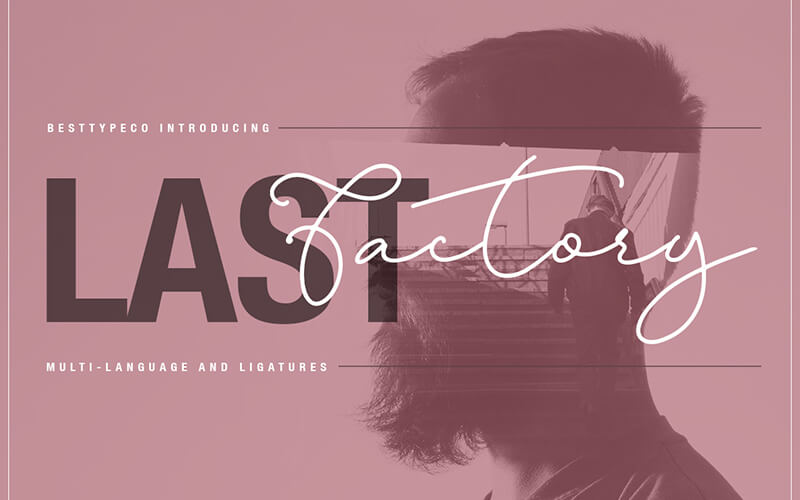 51 Elegant & Creative Fonts From The Amazing Fonts Bundle - Fresh- LastFactory