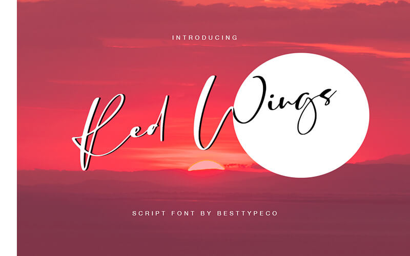 51 Elegant & Creative Fonts From The Amazing Fonts Bundle - Red-Wings