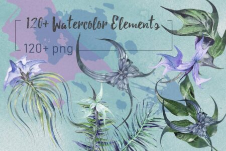 Collection of 120 Watercolor Floral Elements