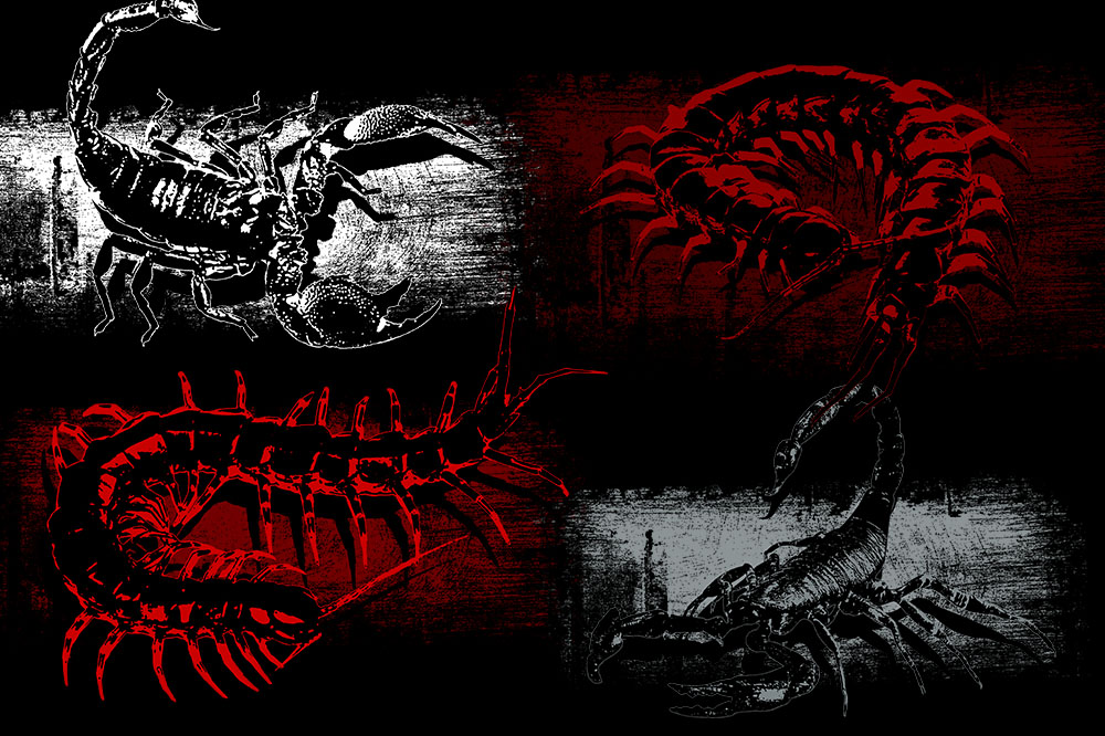 popolar tshirts designs