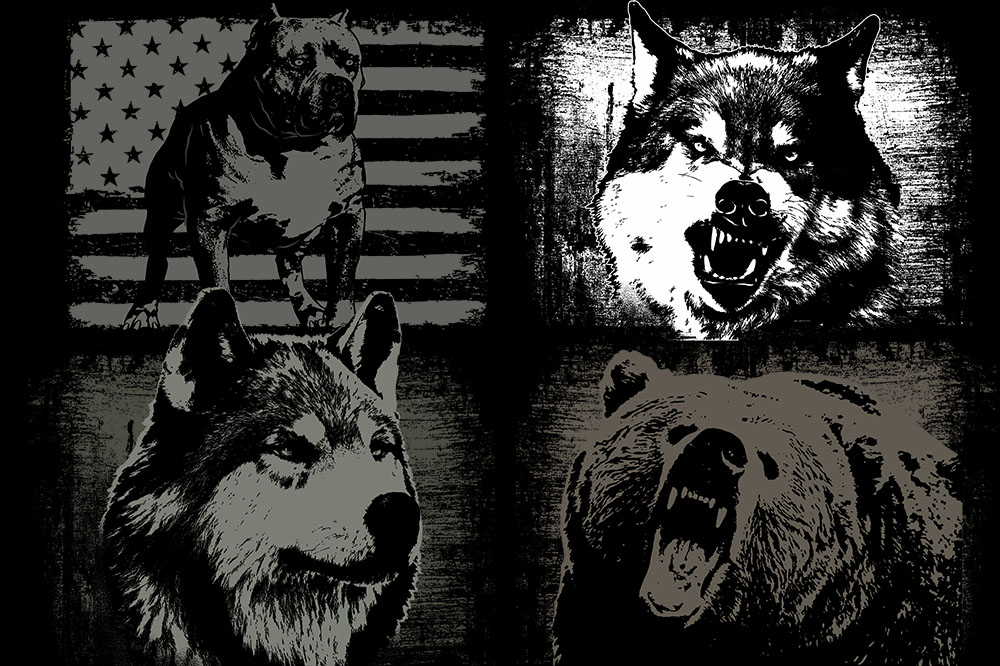 popolar tshirts designs