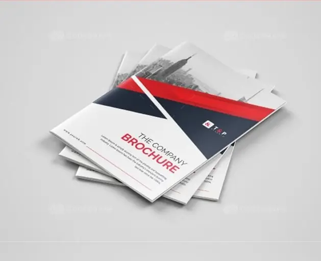 Brochure Template displaying company details