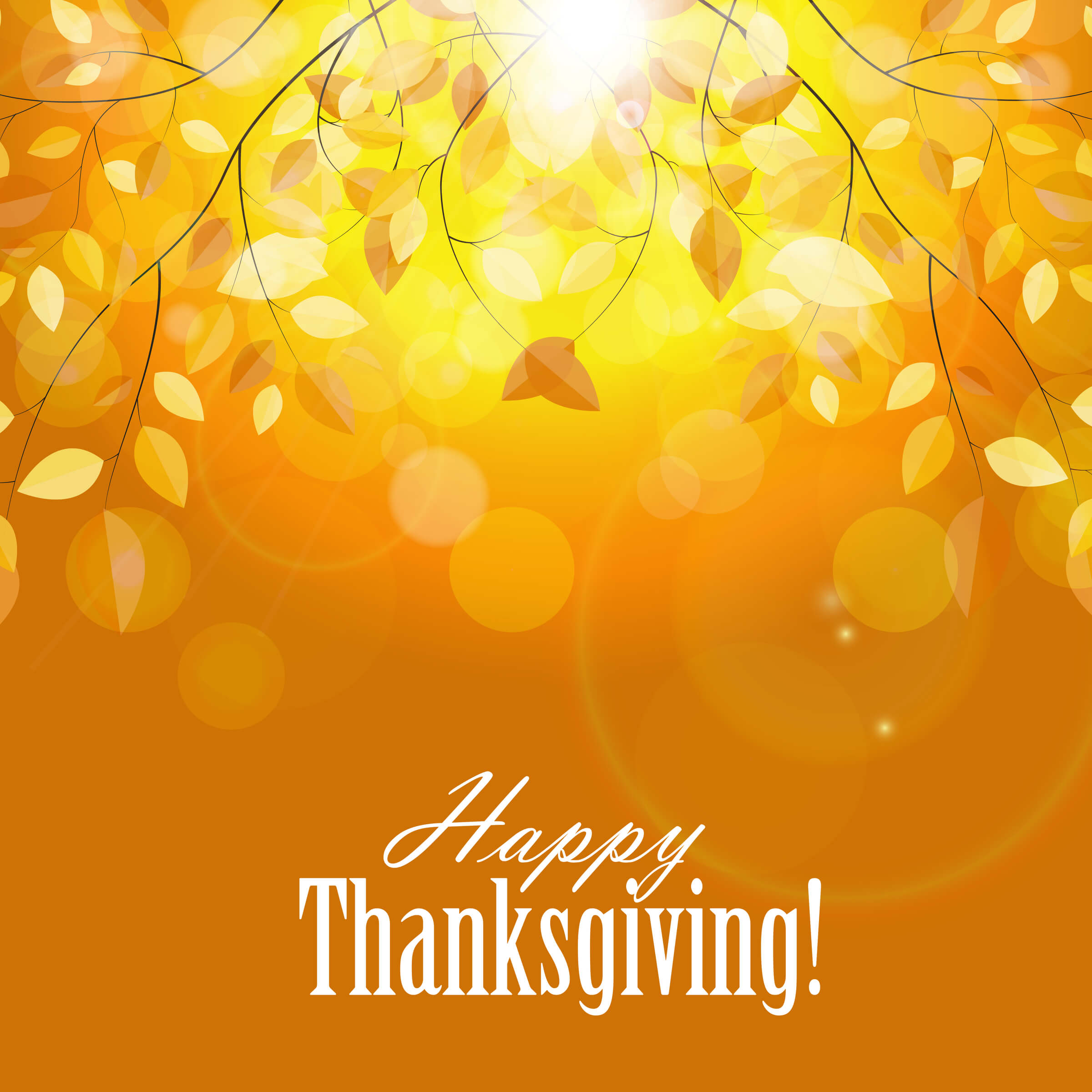 Thanksgiving greeting card design