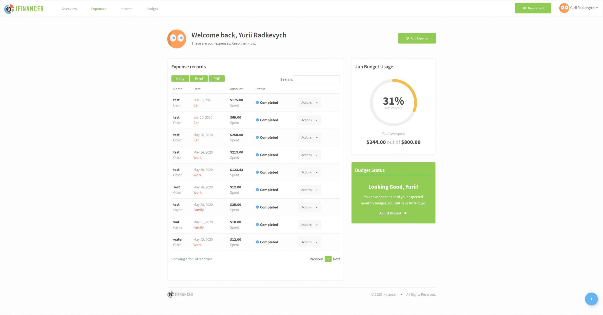iFinancer expense tracker - expense records user interface