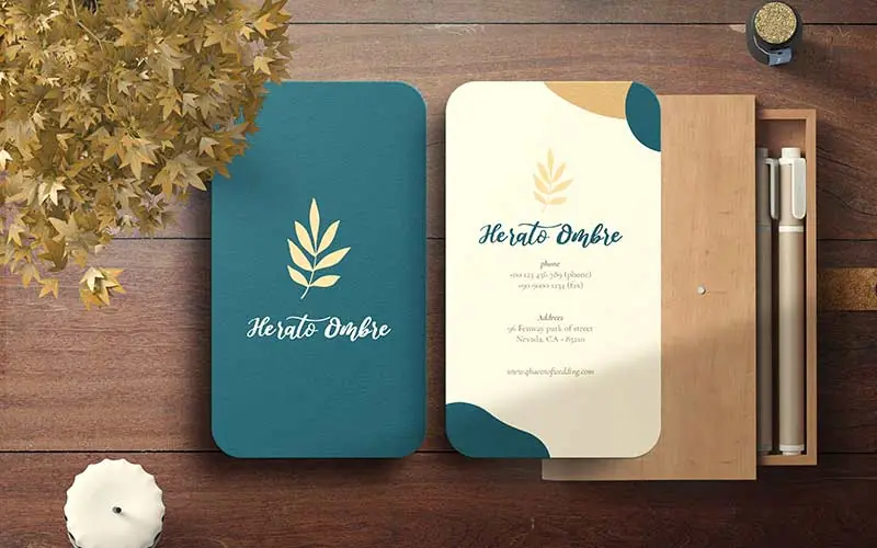 Aesthetic business card mockup design