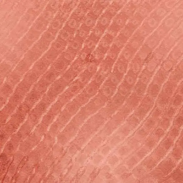 Honeycomb Style Rose Gold Background
