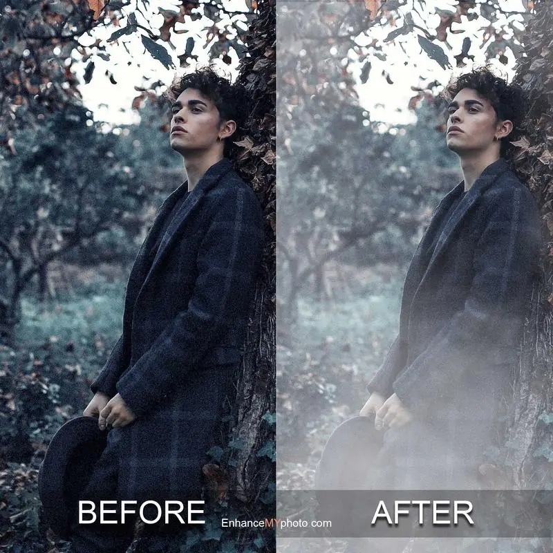 Comparison of an original image and its soft fog version.