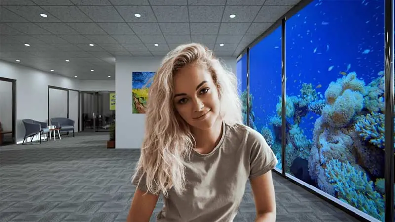 This is a picture of a woman with a virtual background of a living room