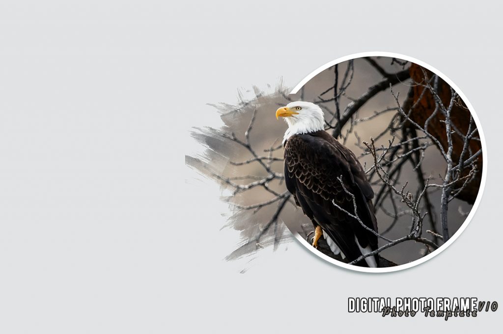 photo template