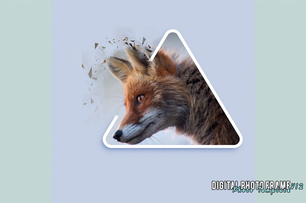 photo template
