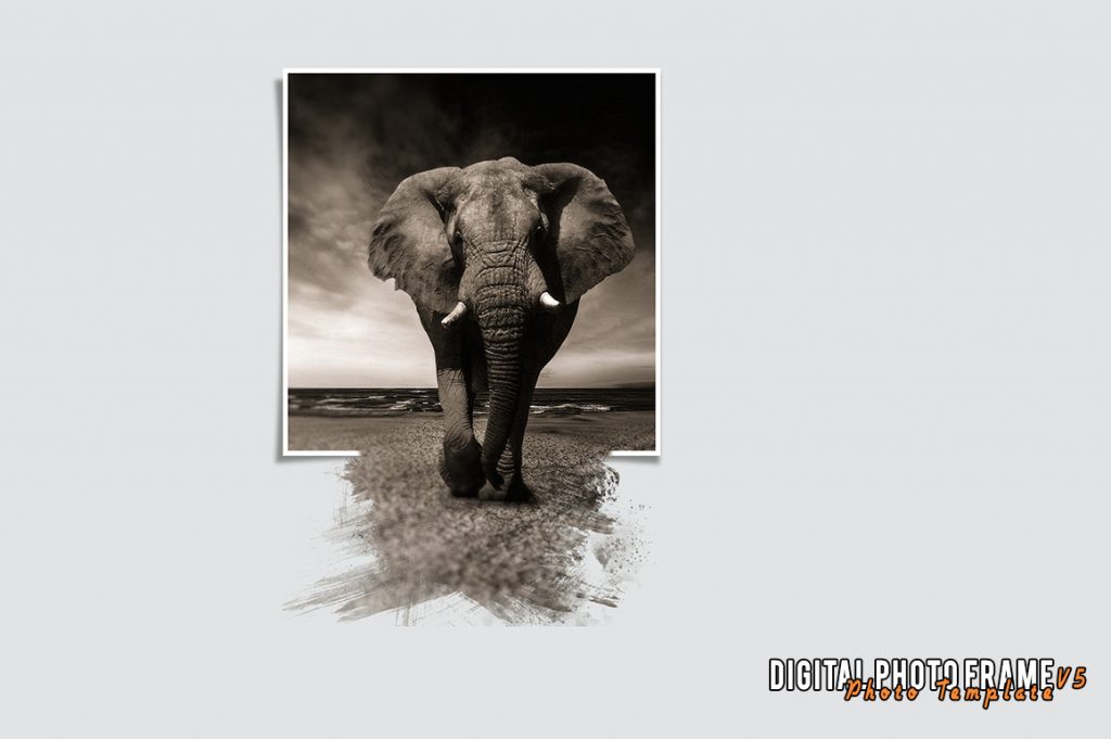 photo template