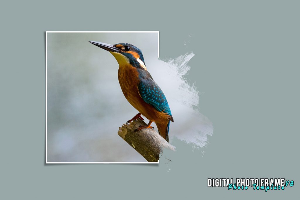 photo template
