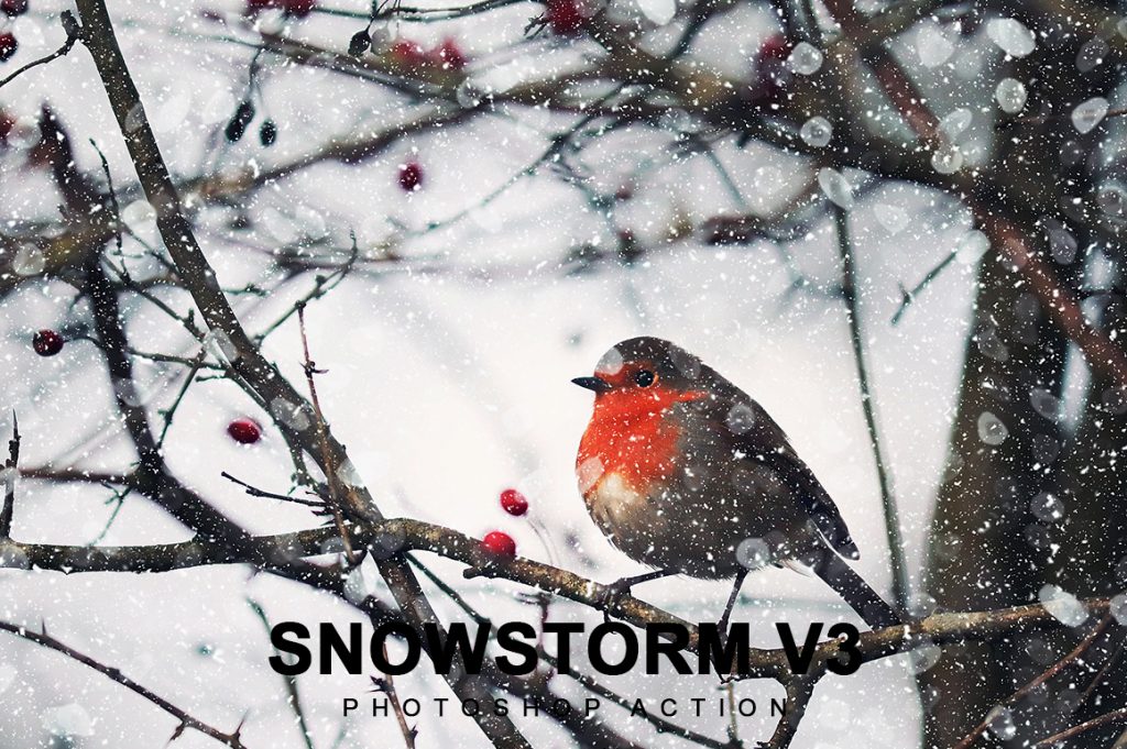 Snowstorm Photoshop Actions Bundle