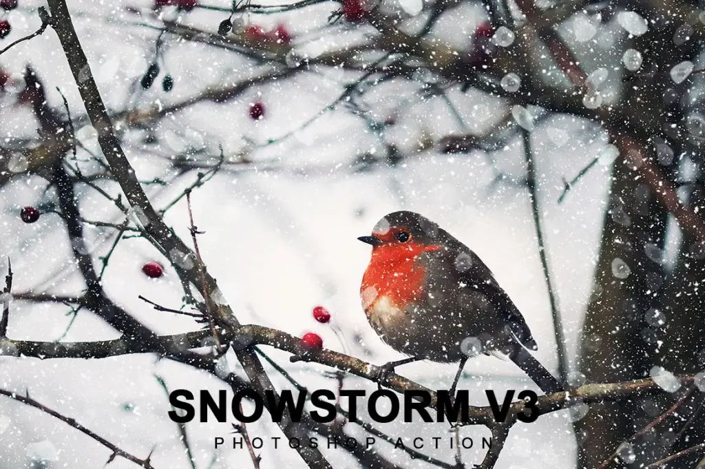 Snowstorm Photoshop Actions Bundle