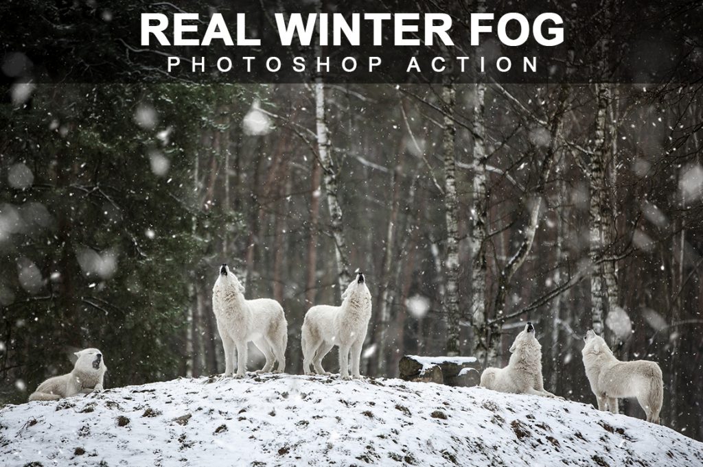 Real Winter Fog Photoshop Actions Bundle