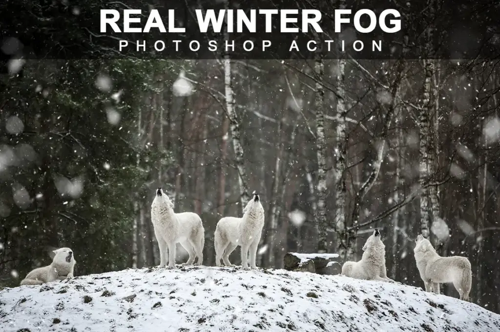 Real Winter Fog Photoshop Actions Bundle