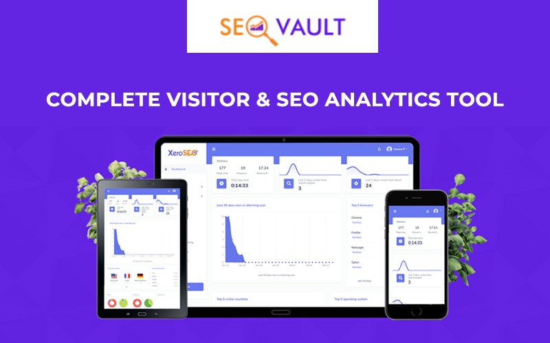 SEO & Visitor Analytics Tool