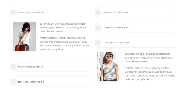Accordian website templates in multipurpose website templates bundle