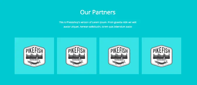 Our partners page website template