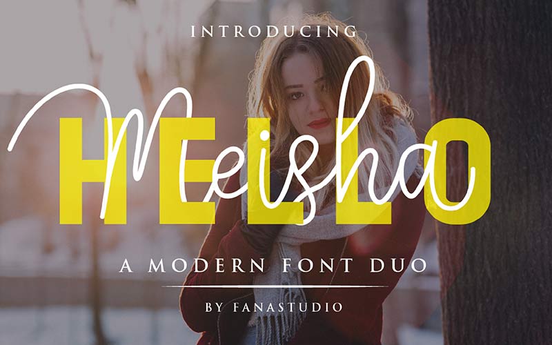 Elegant Fonts
