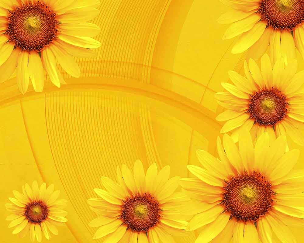 yellow background wallpaper