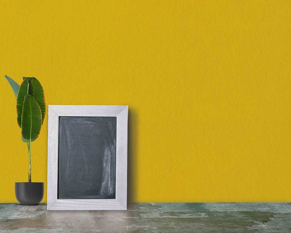 A plant and a photo frame on a yellow background