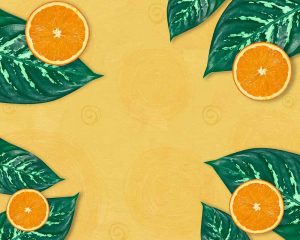 sliced oranges and green leaves on yellow background