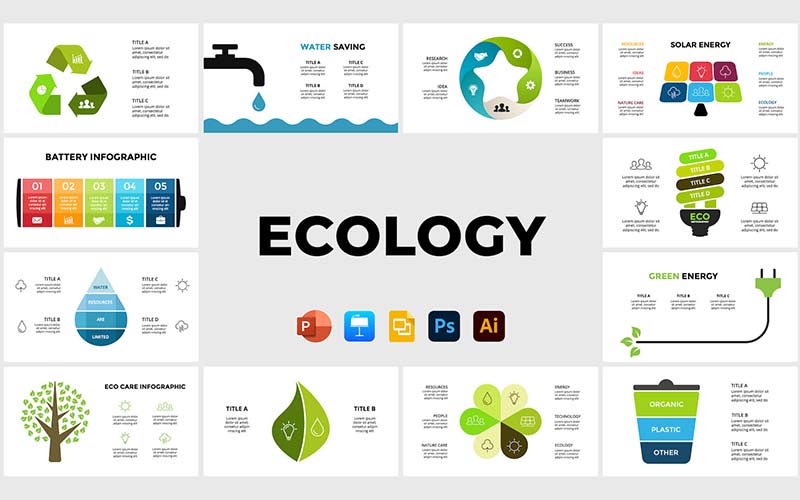 Infographic templates