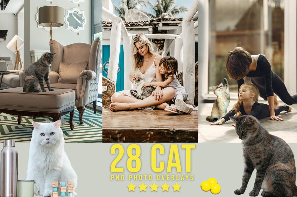 Cat photoshop overlays