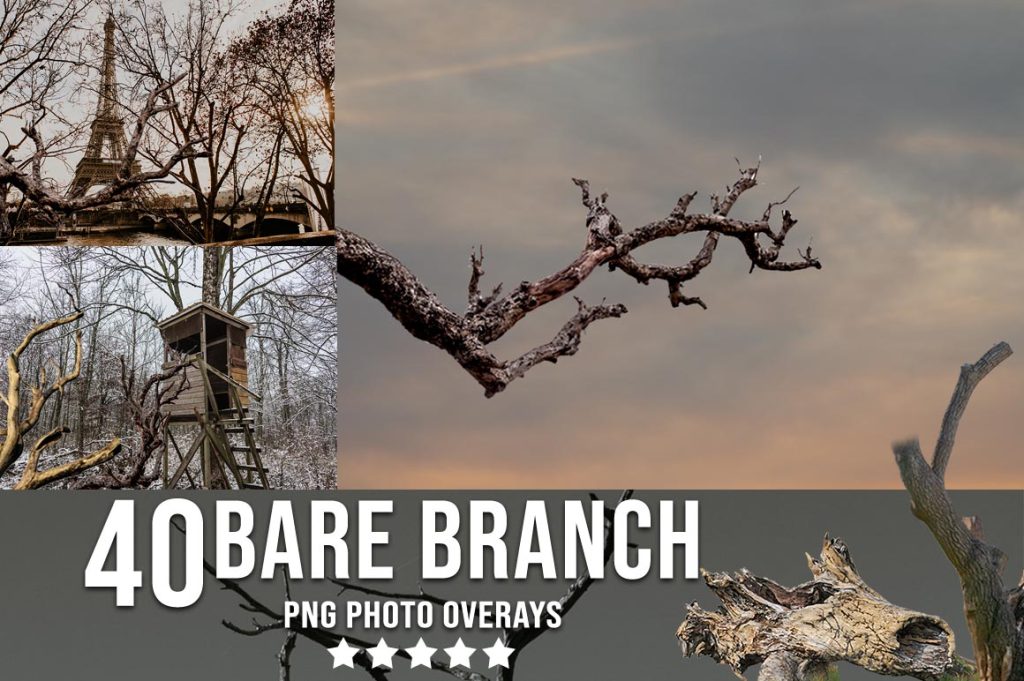 Bare Branch photoshop overlays