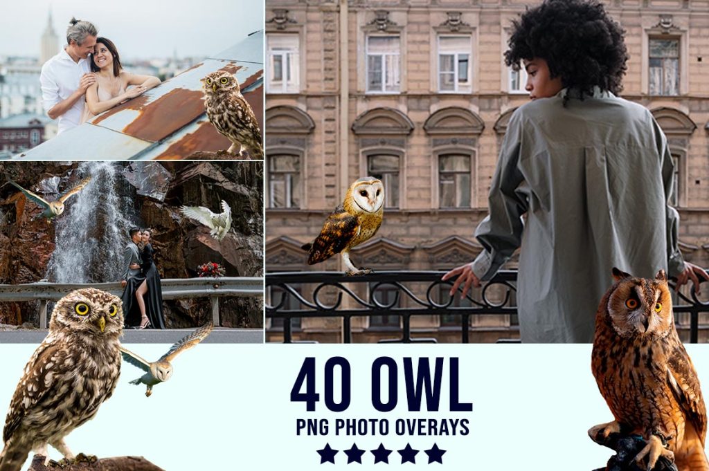 Owl png photoshop overlays