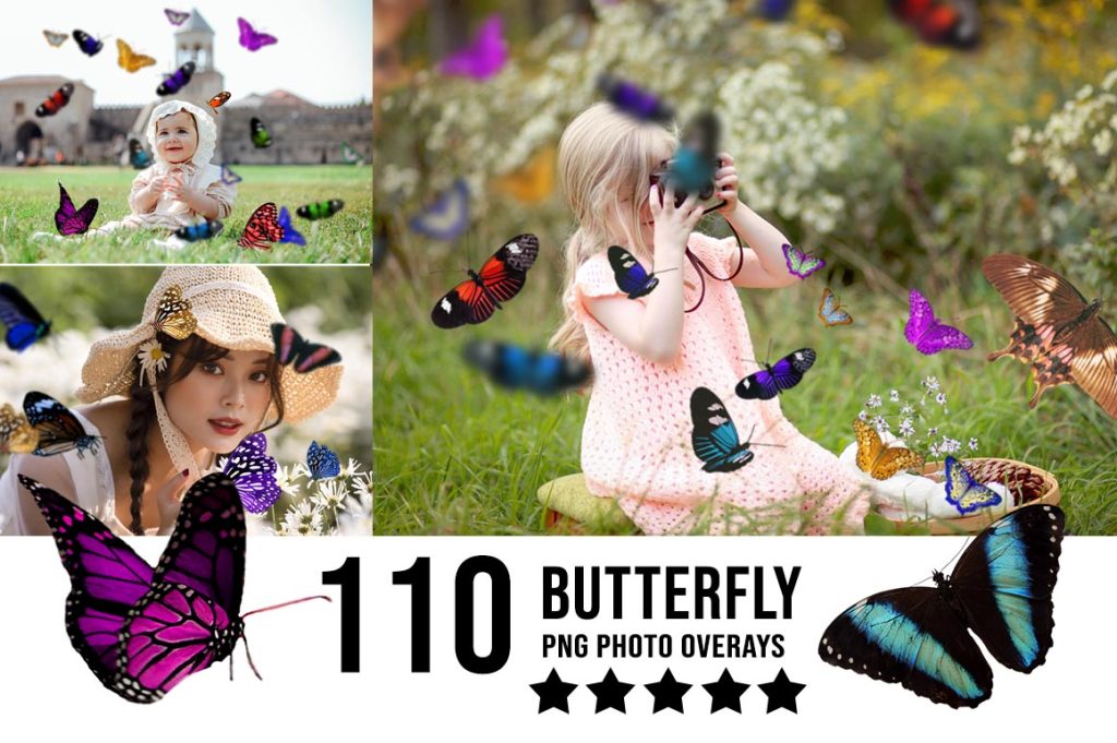 Buterfly png photo overlays