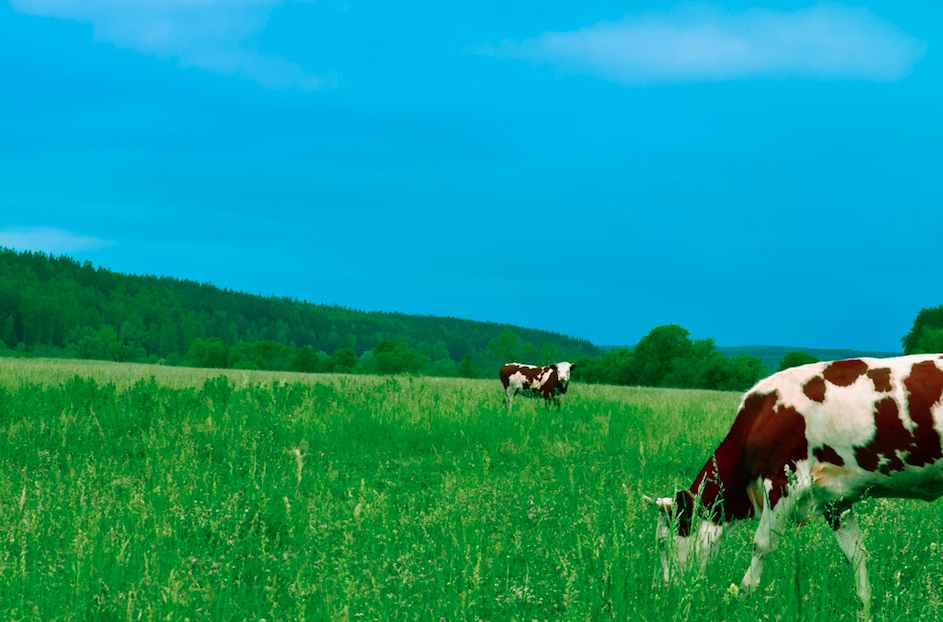 Screen Shot 2021-10-27 at 2.34.33 PM