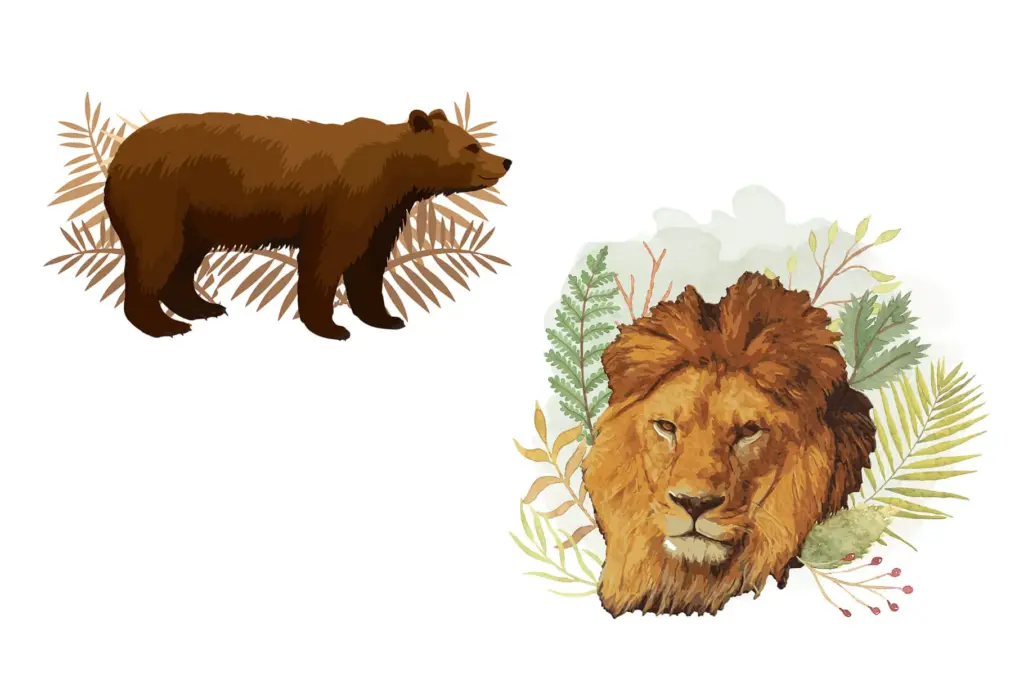 watercolor illustrations of lion and bear