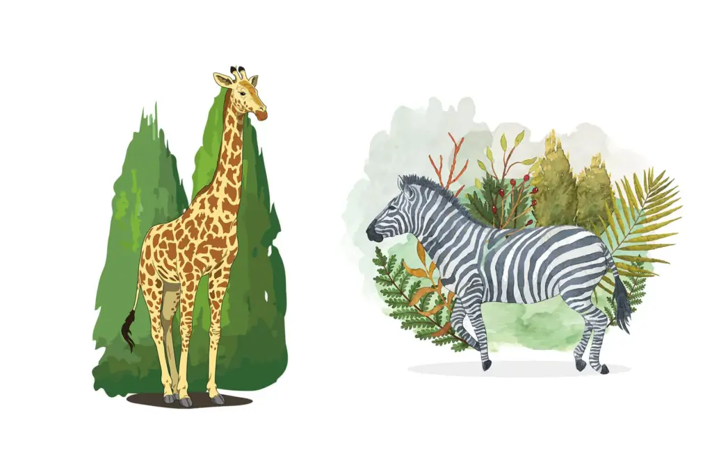 watercolor illustrations of giraffe and zebra