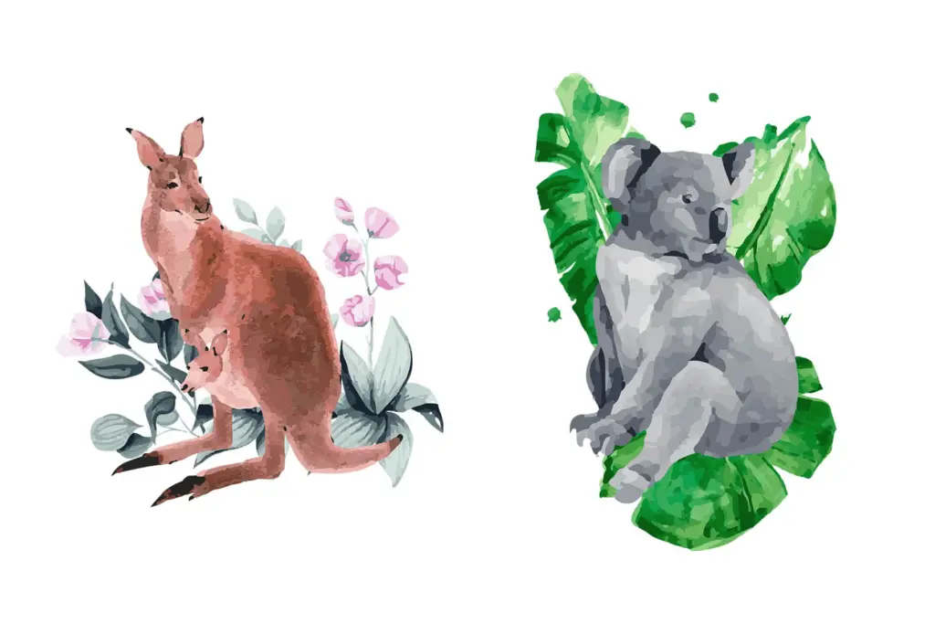 watercolor illustrations of koala and kangaroo