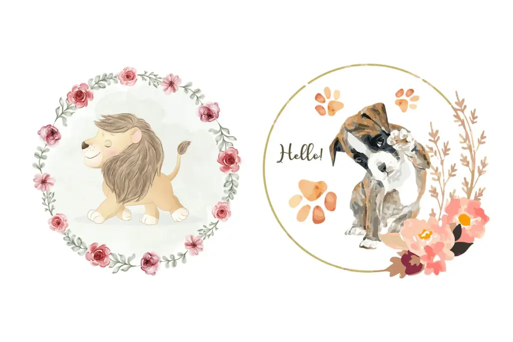 watercolor illustrations