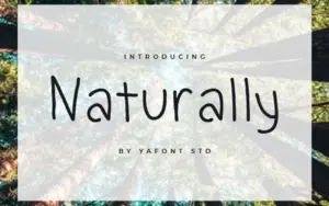 Naturally font included in the Playful Crafty Fonts Bundle