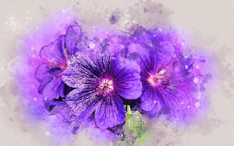 Smooth Watercolor - Best Photoshop Actions