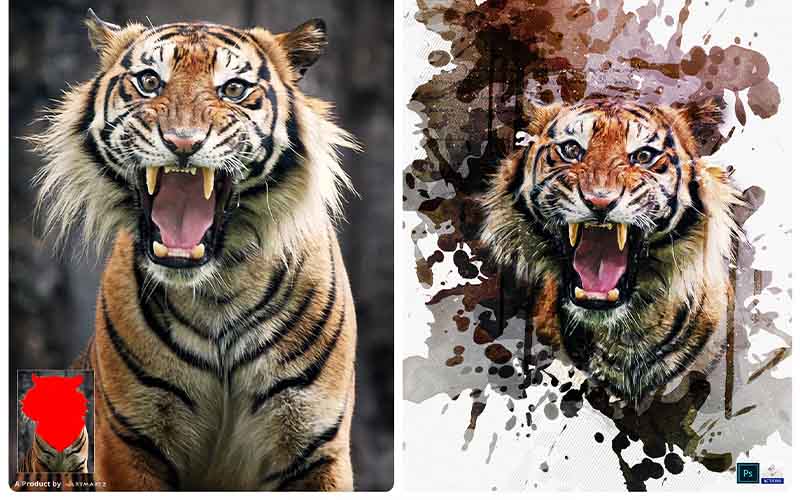 roaring tiger with aquarelle effect applied before and after