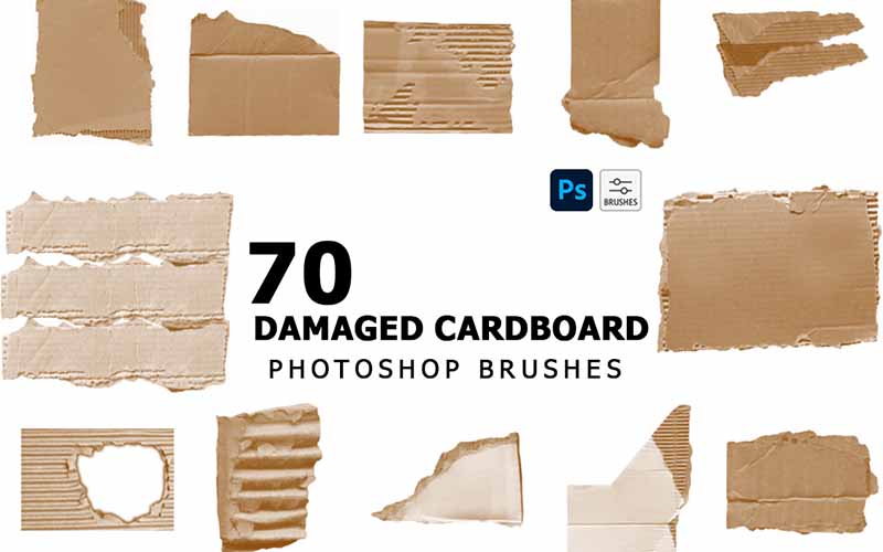damaged cardboard ps brushes