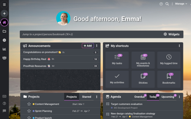Project Management Software