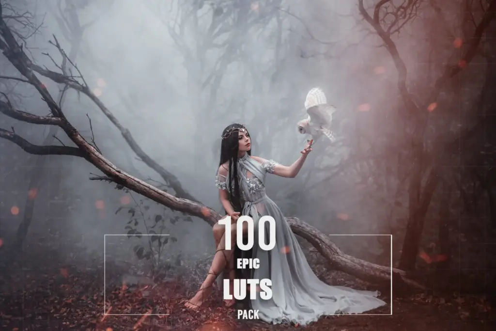 Mysterious sorceress in a beautiful blue dress. The background is a cold forest in the fog. Girl with a white owl.