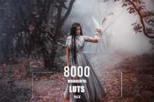 8000+ Wonderful LUTs Bundle - Video effects