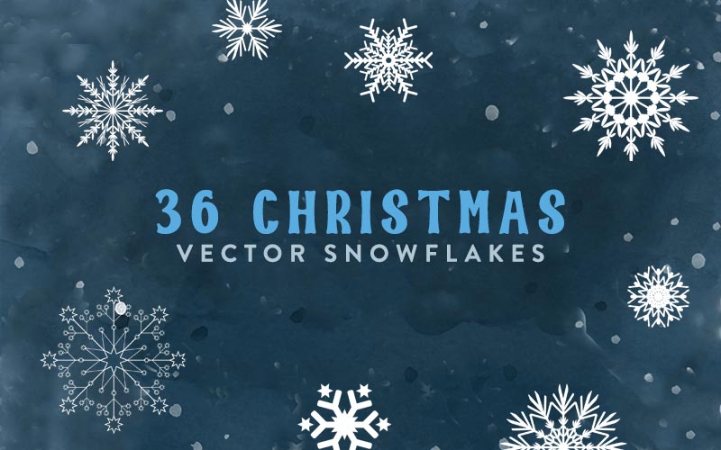 Banner for Snowflakes vector with different designs of snowflakes