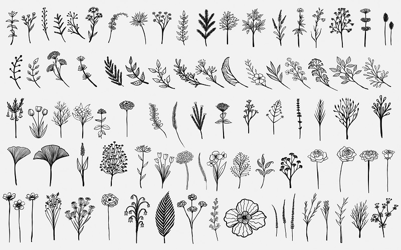 Collage of flowers in 2000+ Mega Illustrator Elements Bundle