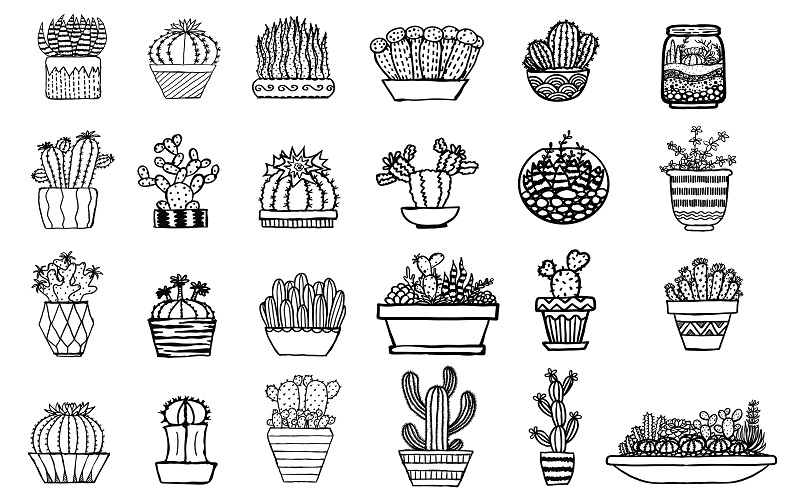 A collage of several cactus